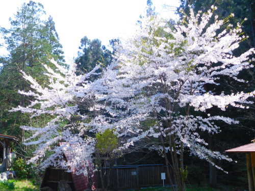 DSCN3991.JPG
