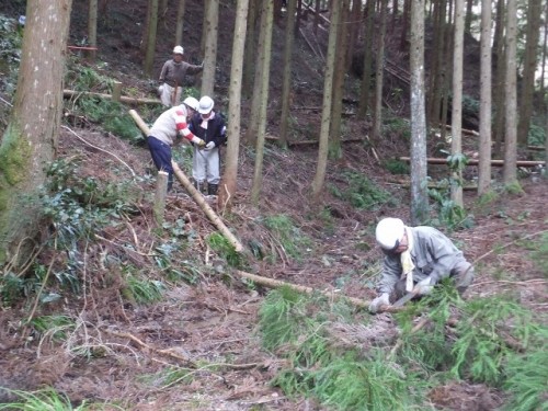 DSCF1349 (640x480).jpg