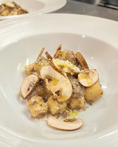 フレッシュマッシュルームと  マッシュルームのラグー  二年熟成きたあかりのニョッキ