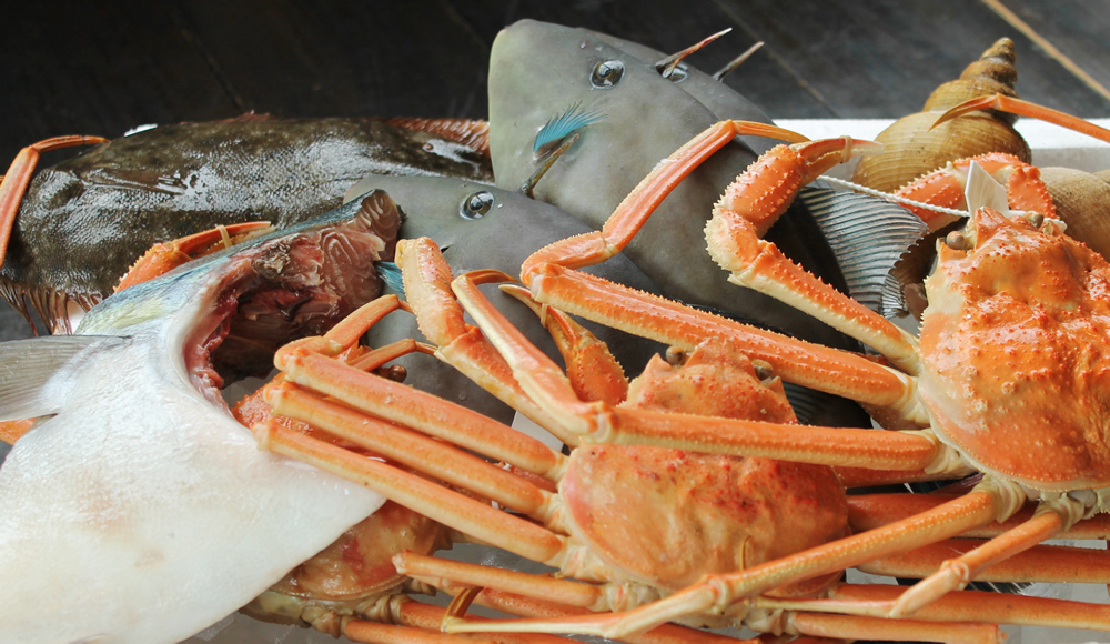 富山湾の新鮮な魚介を中心に、店主自らが厳選した食材のみを使う。