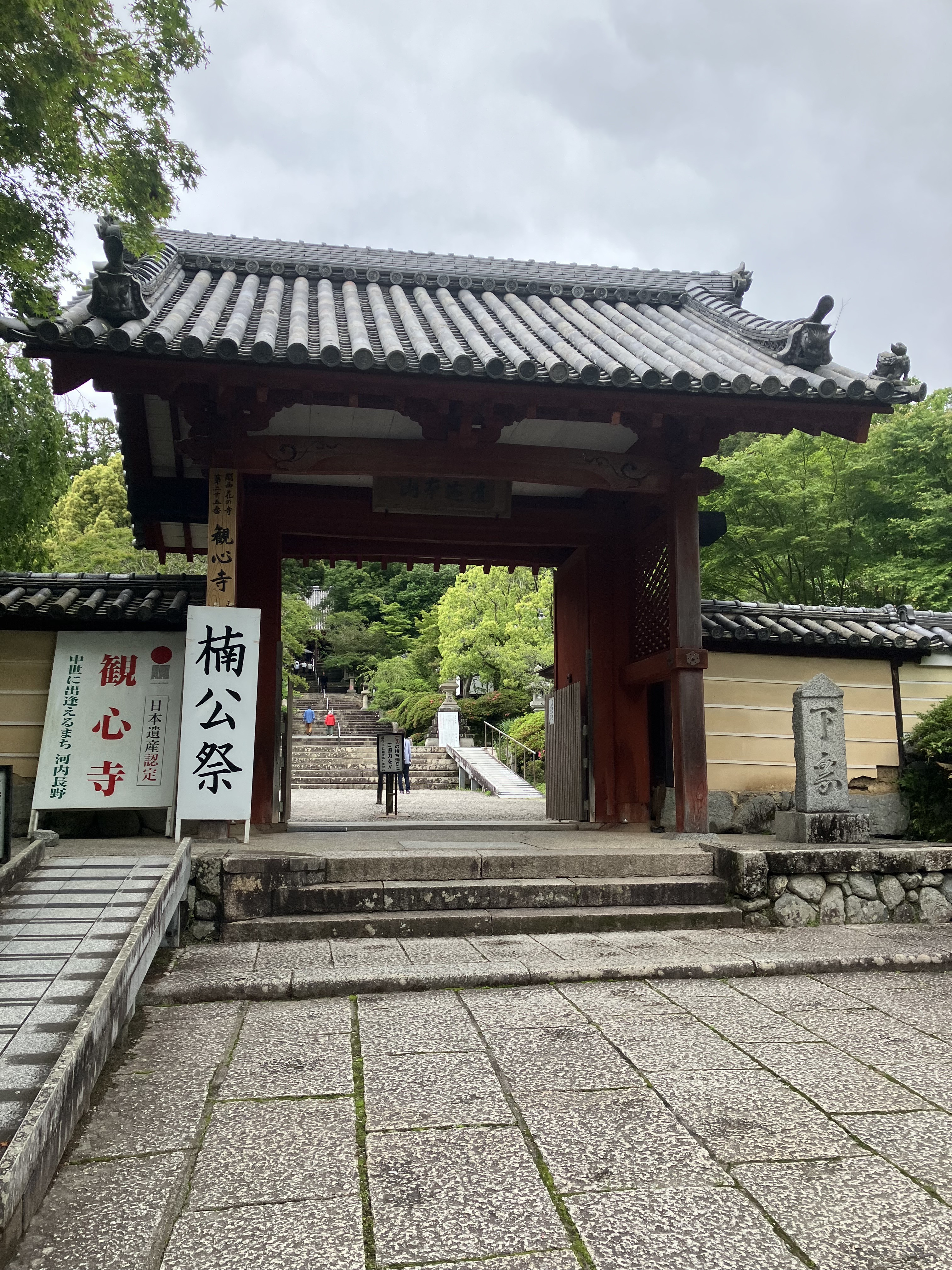 IMG_0809.jpeg