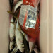 aji37.jpg