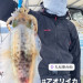 aori500kurai.jpg