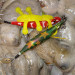 tako11keep.jpg