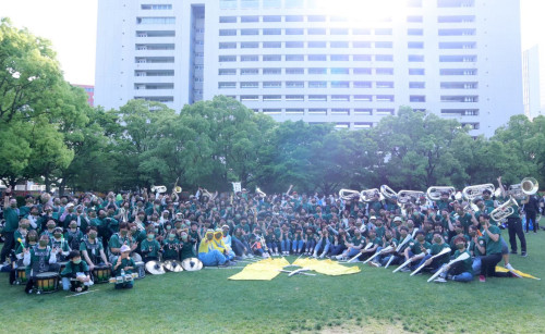 どんたく2023参加メンバー募集中！！！