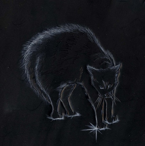cat003.jpg
