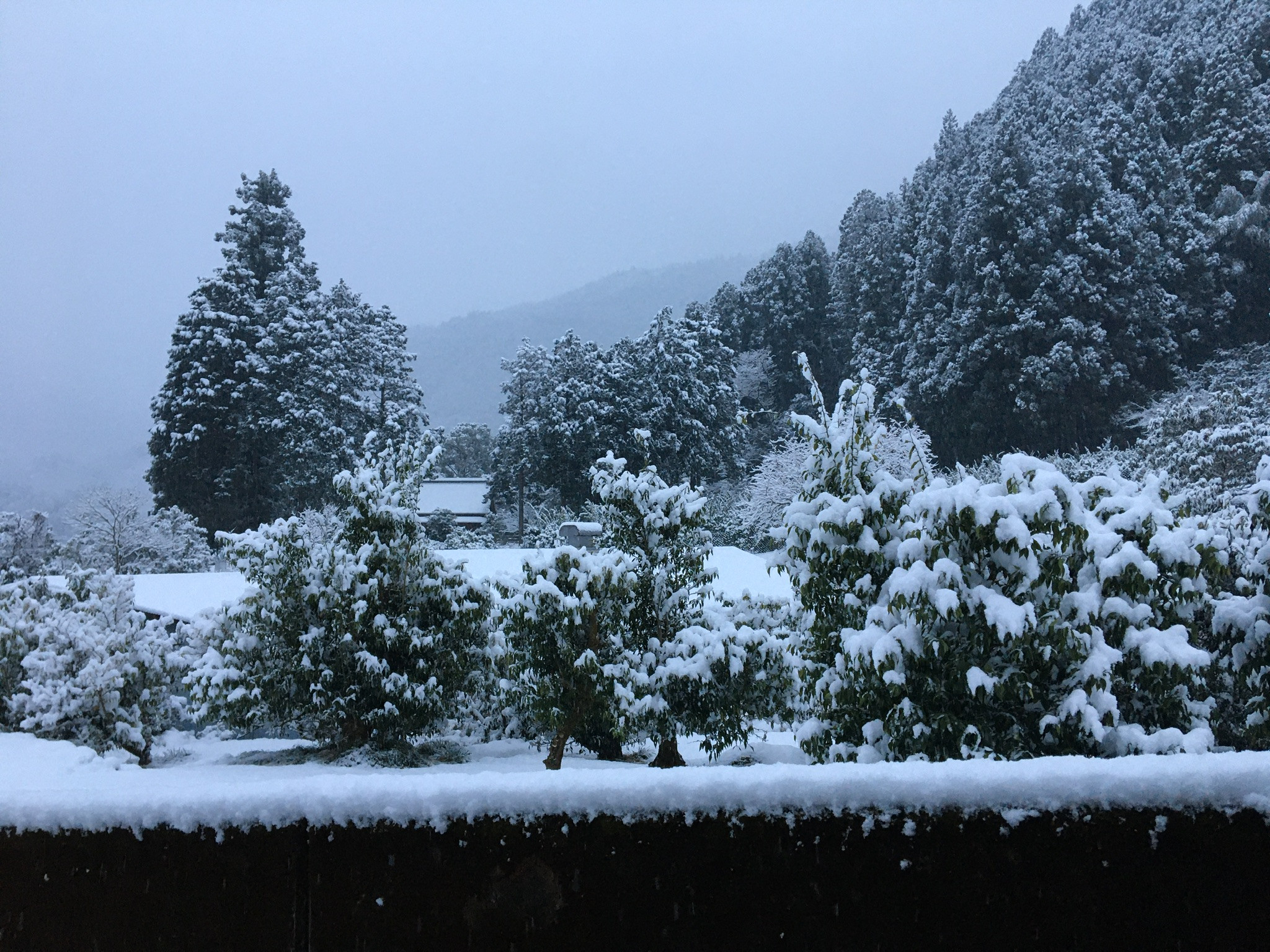 1F01E11A-260E-4557-906D-B4030B1808D5.jpeg