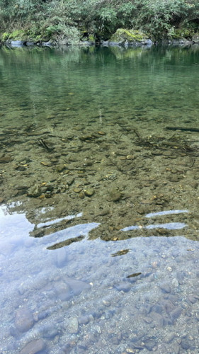 月曜日火曜日お休み