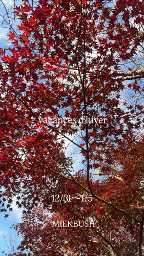 12月早めのご予約を