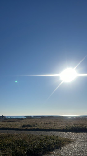 1年ありがとうございました