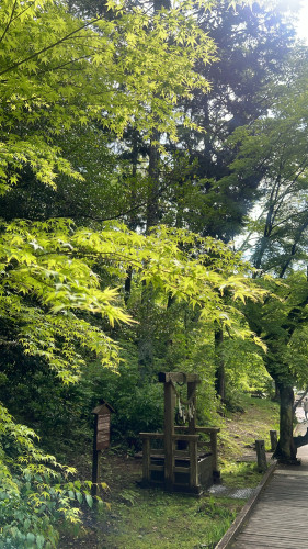 悩みをすべて解決します