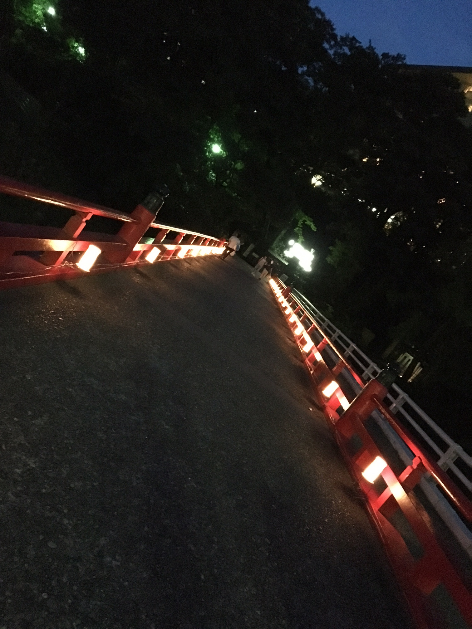 あじさい橋ライトアップ_0818.JPG