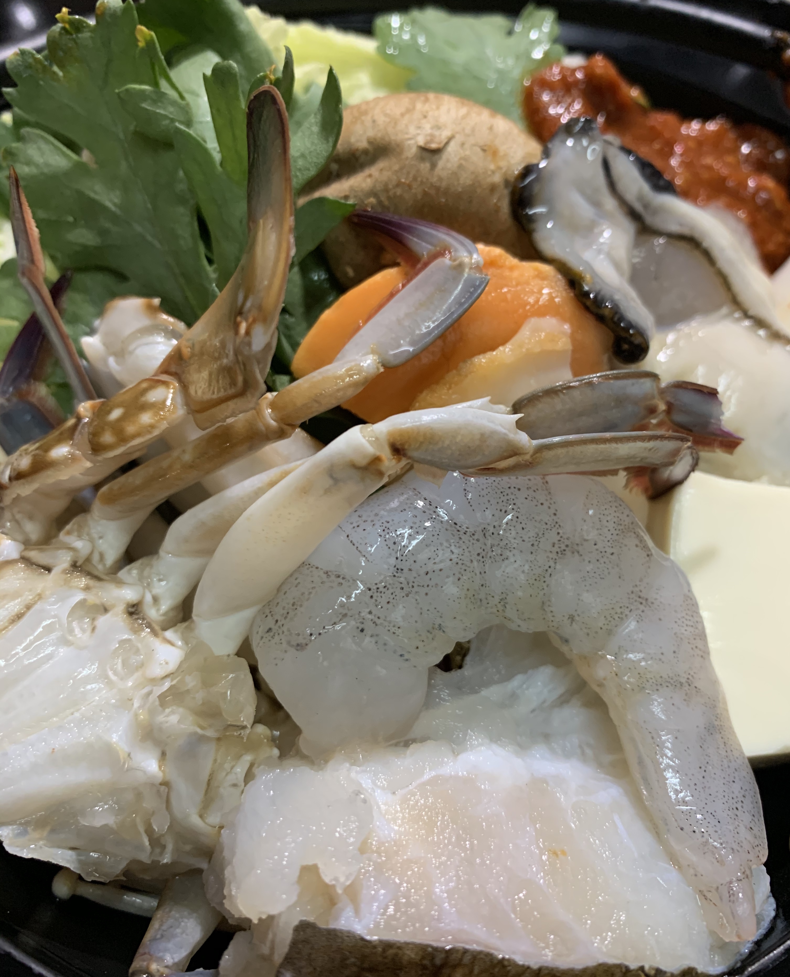 本日のおすすめ