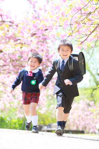 桜ロケ撮影会のご案内