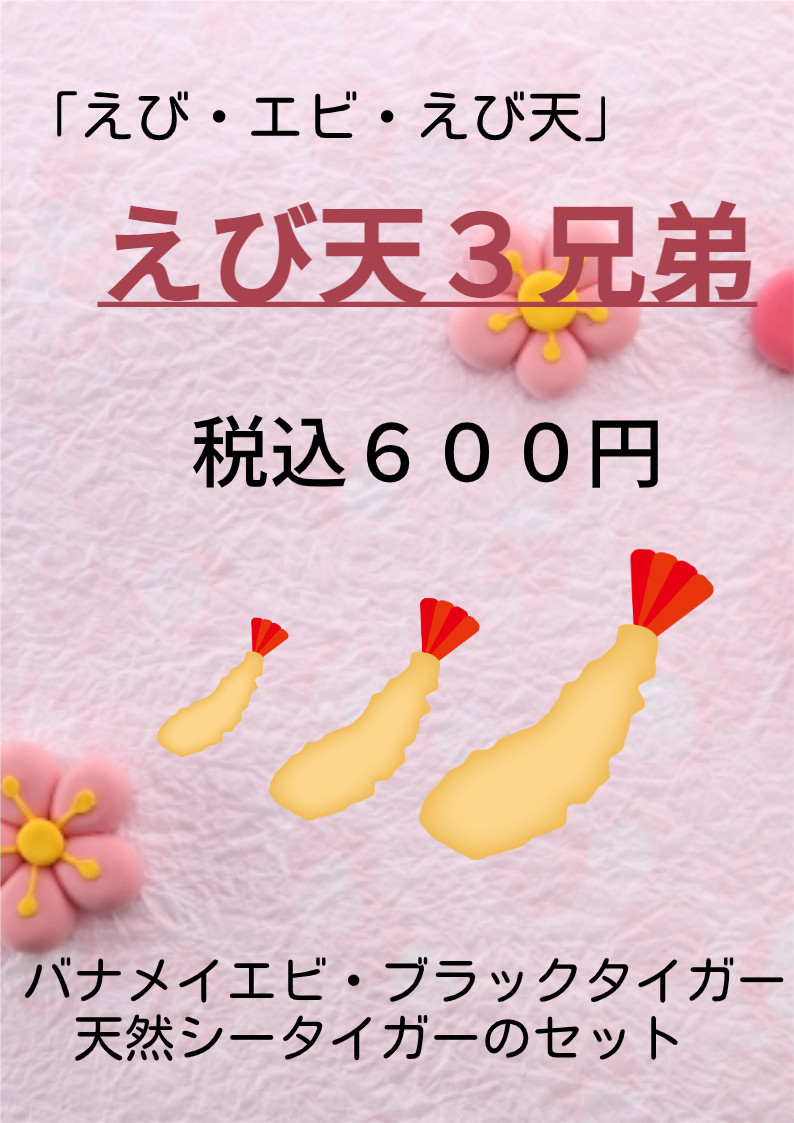 えび３兄弟