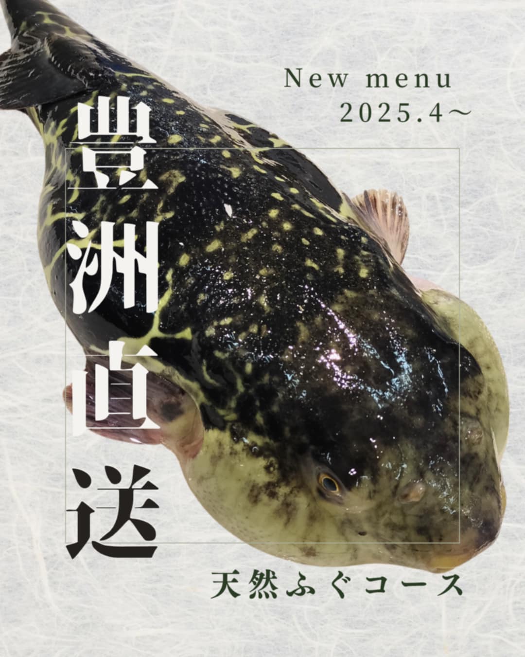 【豊洲直送|天然ふぐコース のご案内】
