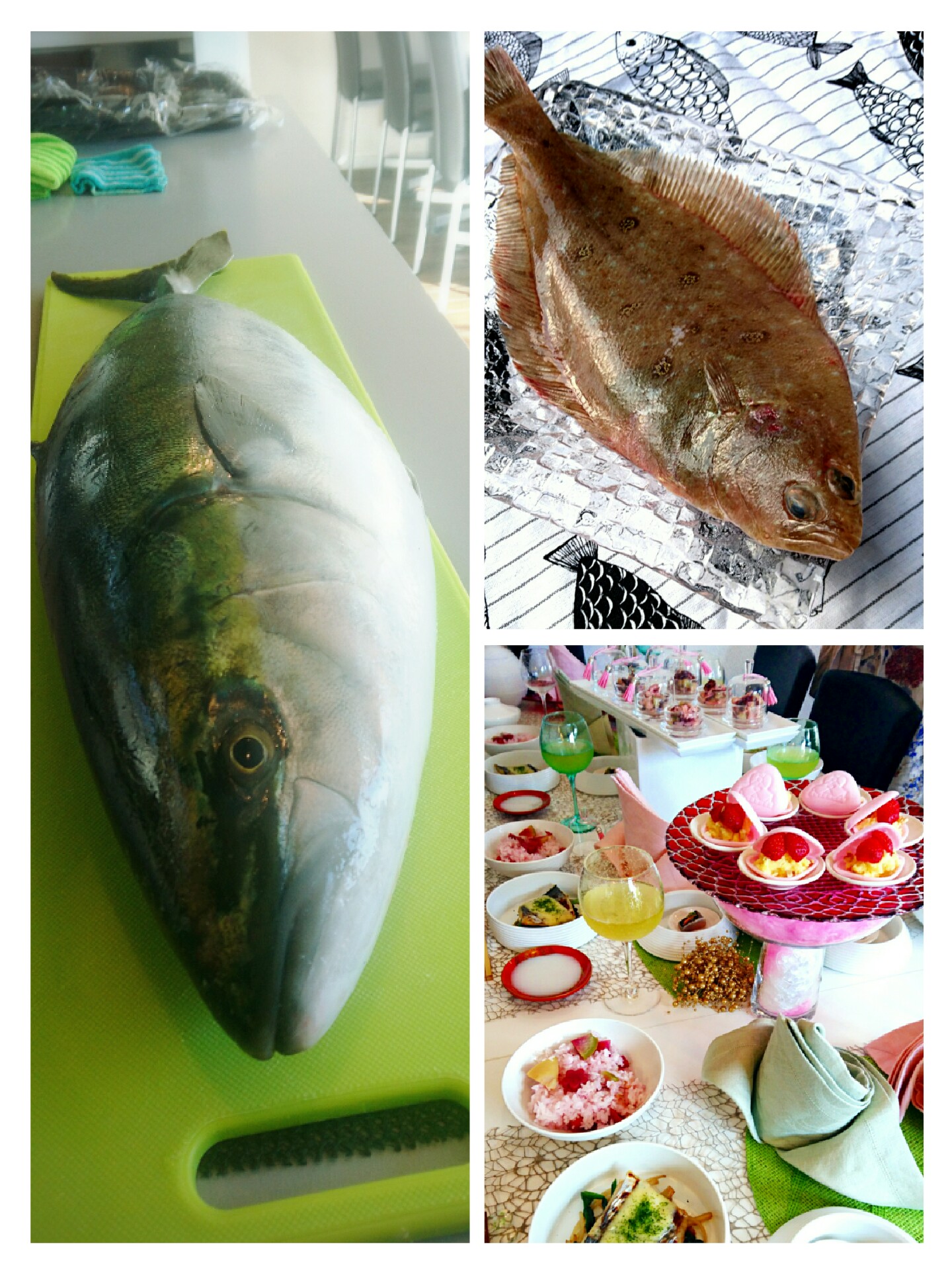 collage-1548417924399.jpg