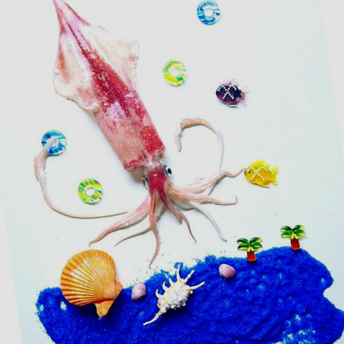 お魚さばきと旬をたのしむ食卓スケジュール一部変更のお知らせ