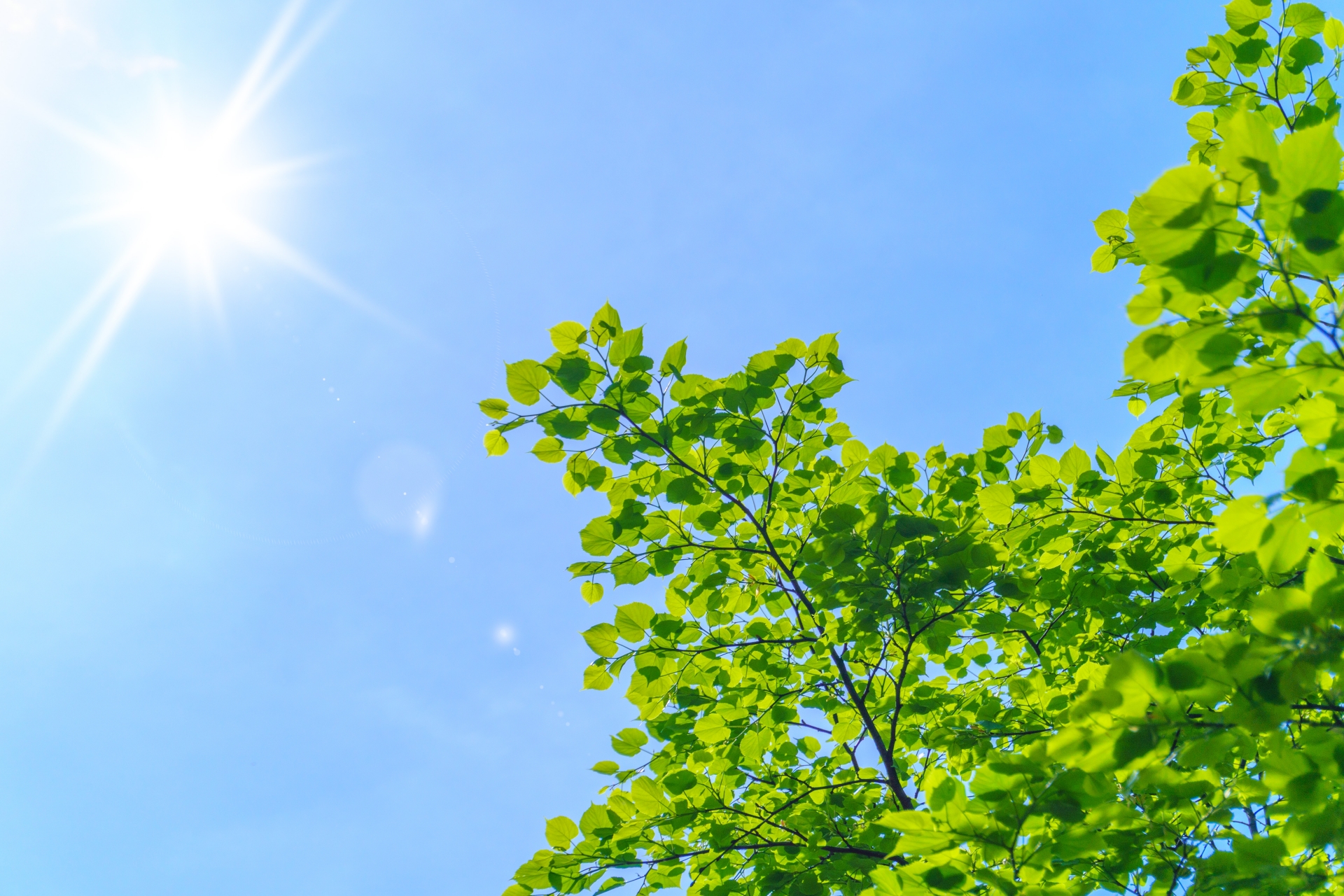 【受付中】夏の健康づくりスペシャルプラン♪
