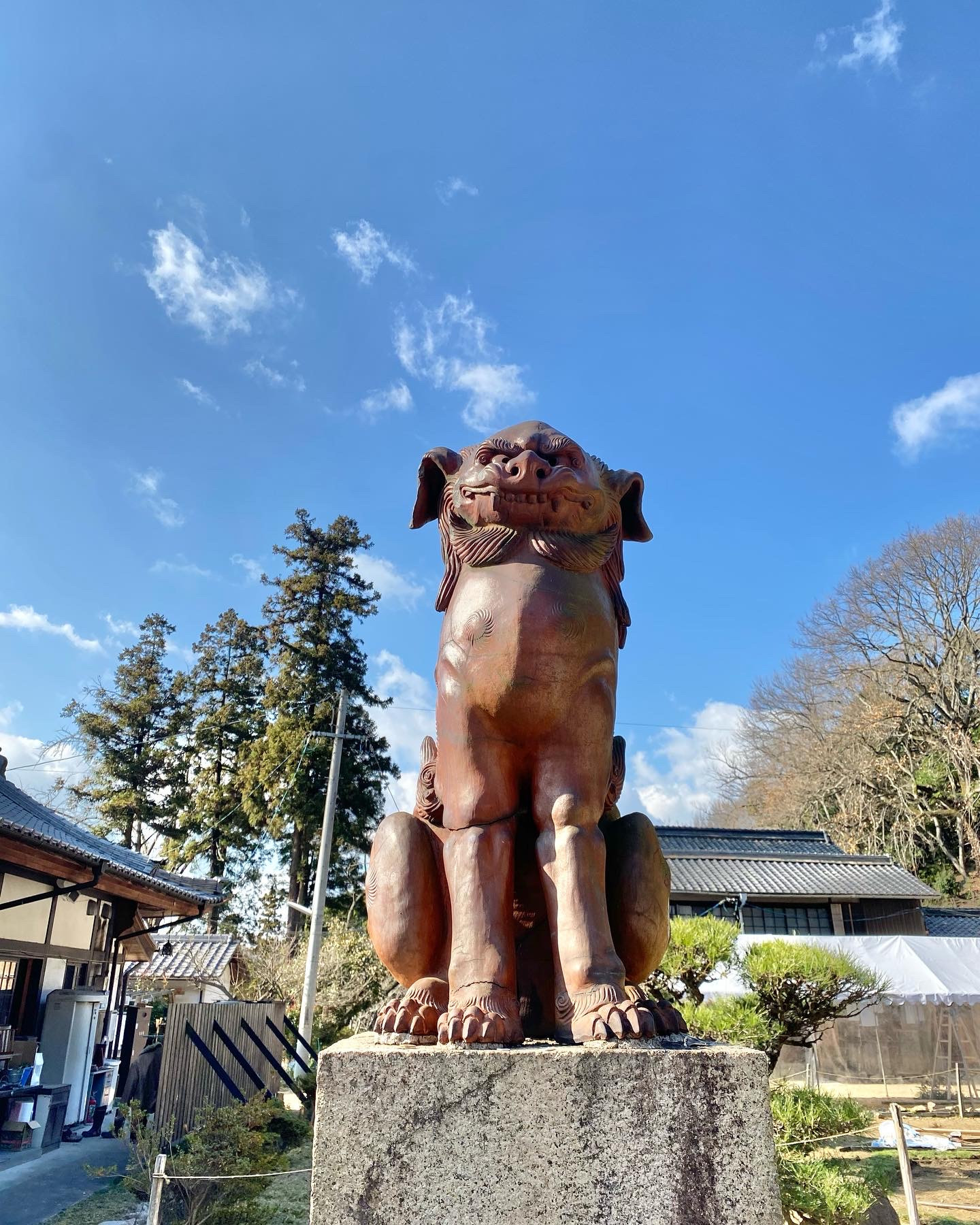 1月のご予約空き状況カレンダー更新しました✨