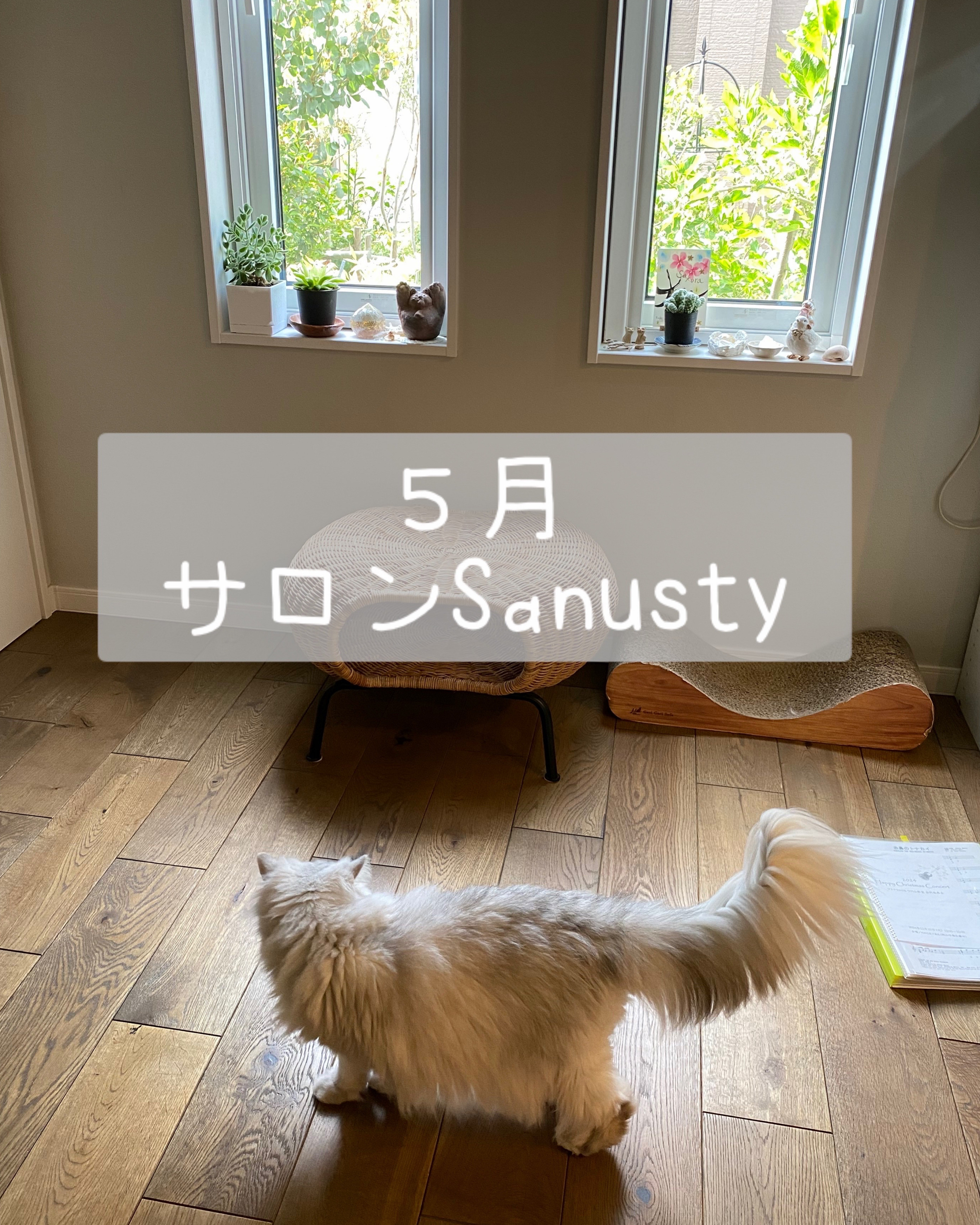 5月のご予約可能カレンダー更新しました🌸