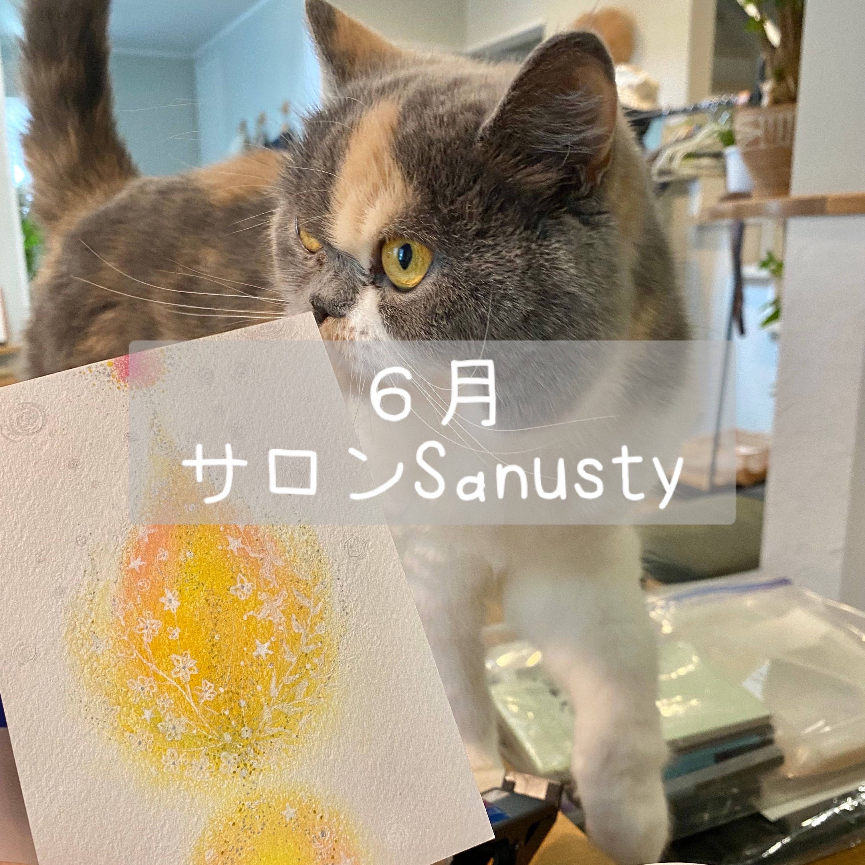 6月のご予約可能カレンダー更新しました🌼