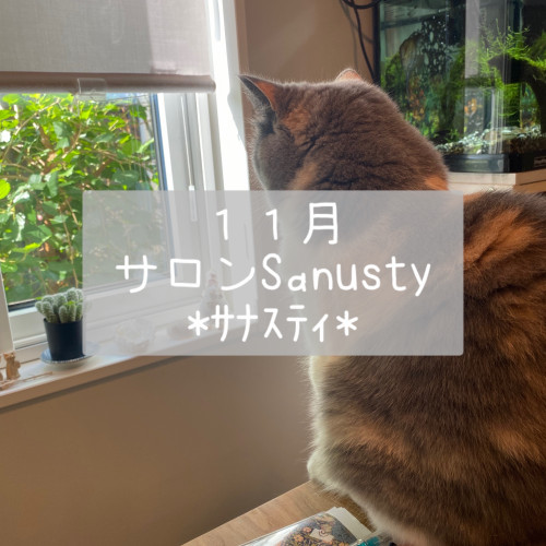 11月のご予約空き状況カレンダー更新しました🍁