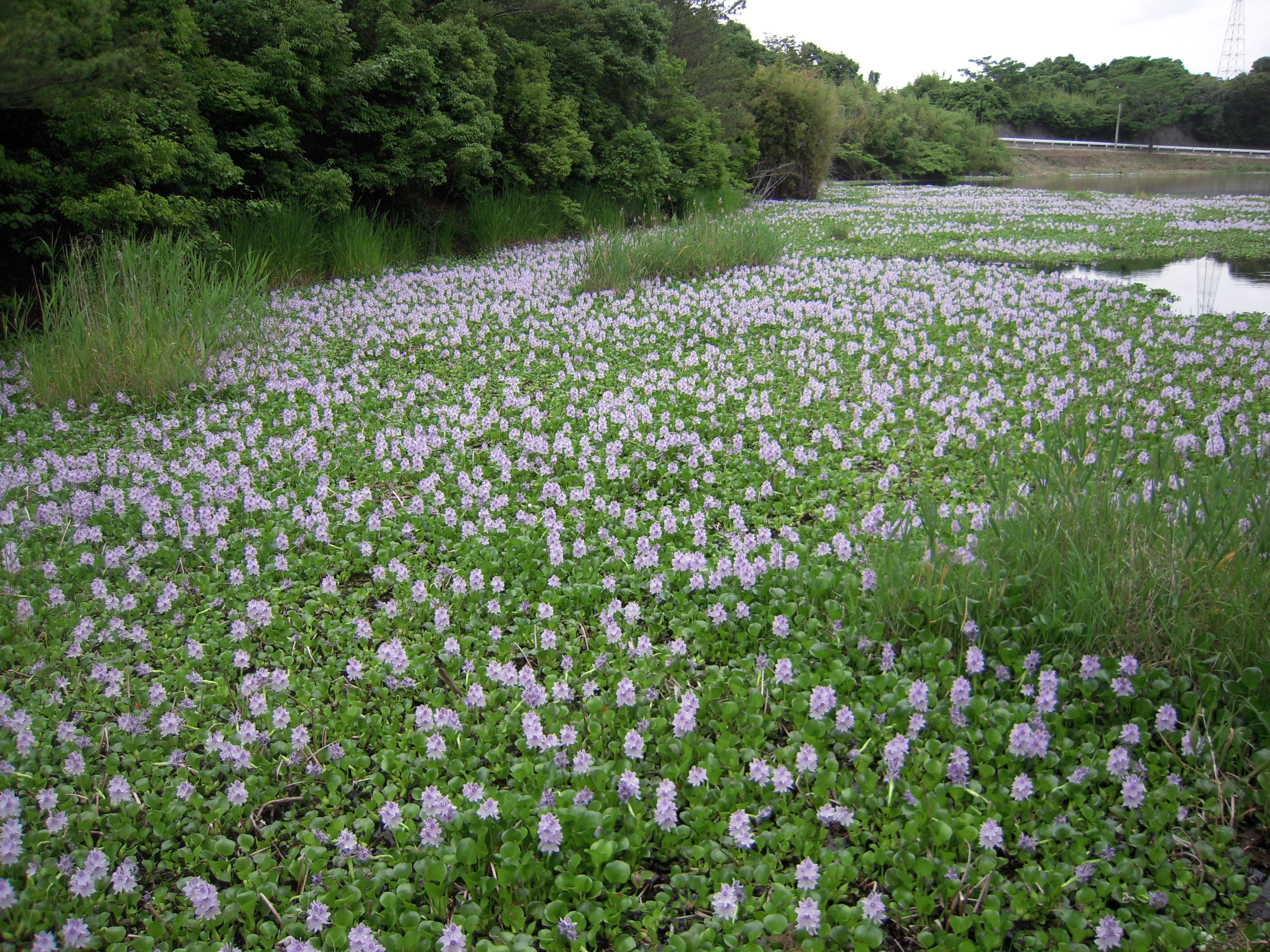 DSCN0329.JPG