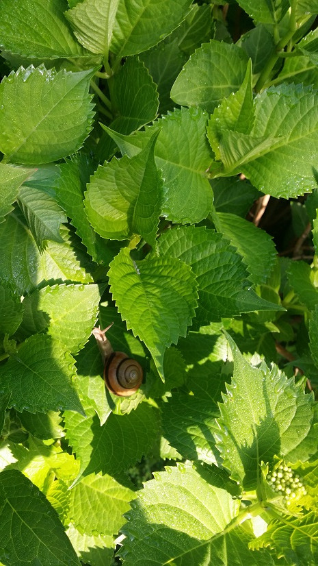 20180420_064814.jpg