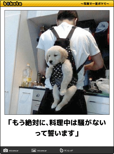 6230422.png