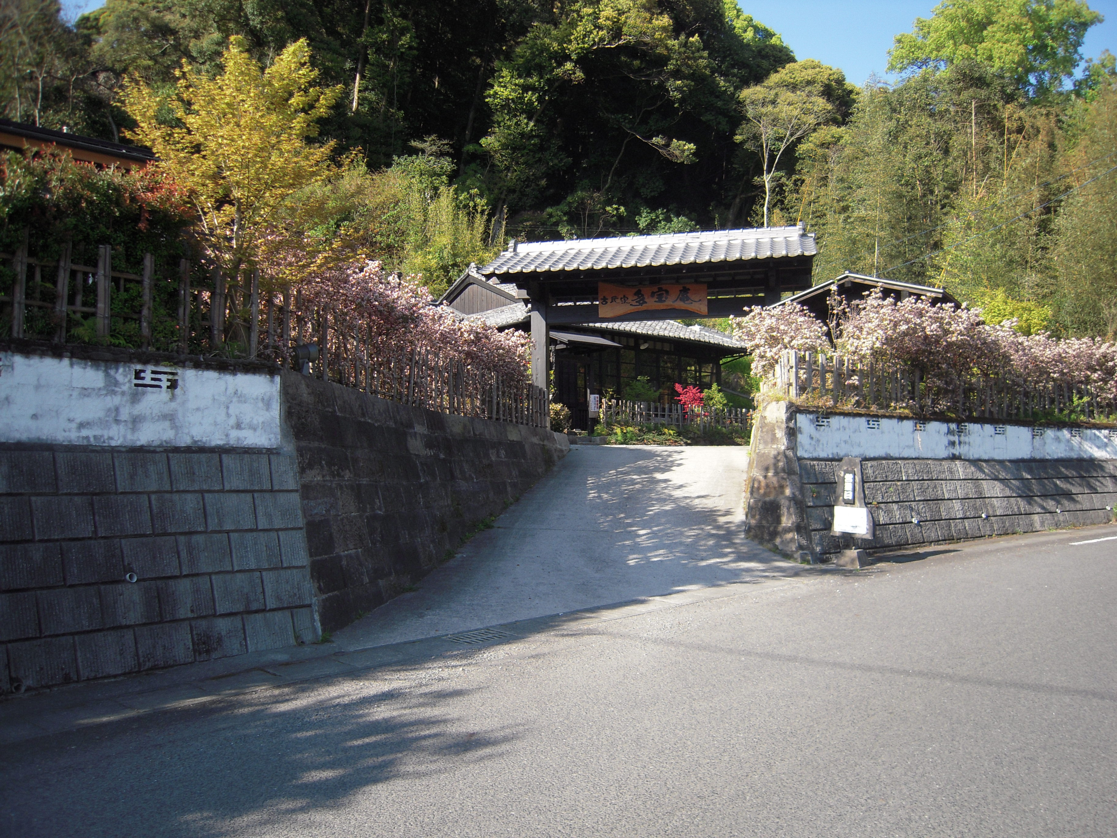 DSCN0377.JPG