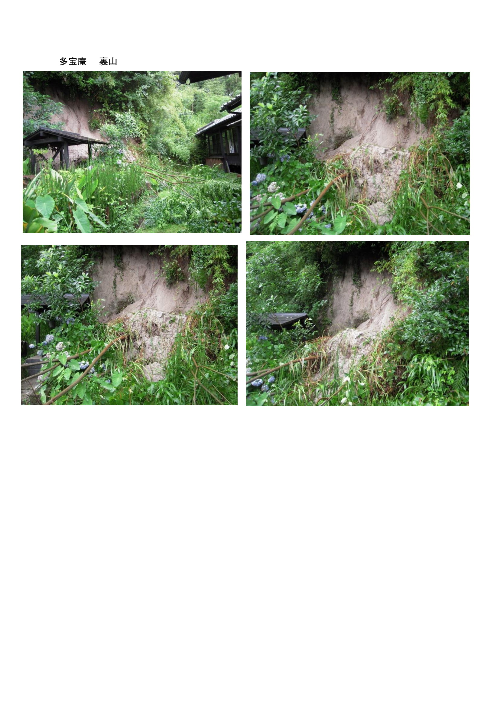 多宝庵梅雨土砂崩れ-1.jpg