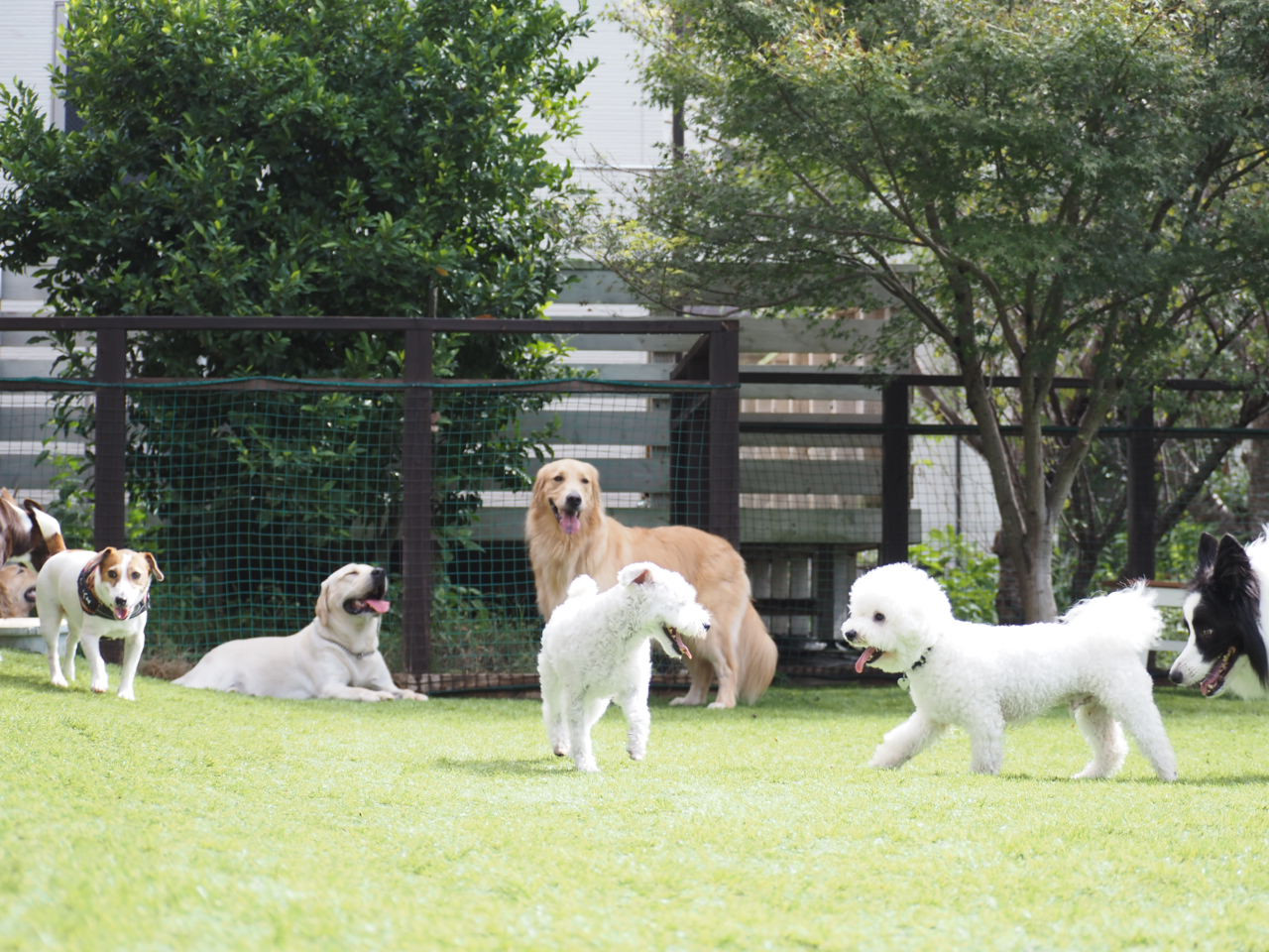 2025.11 ランランデー&ランランデーplus+詳細決定!!