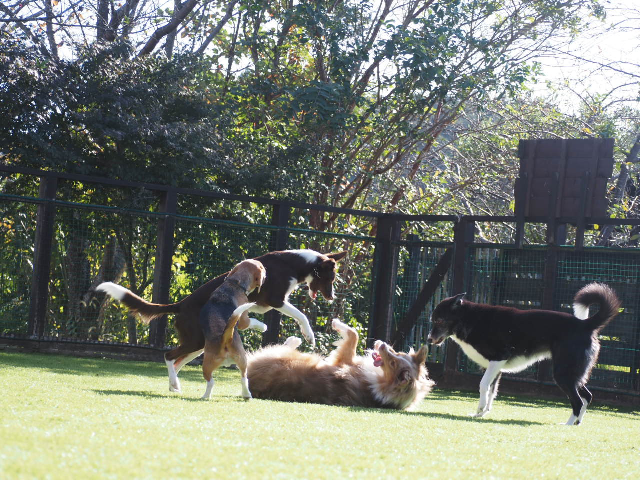 2025.12 ランランデー&ランランデーplus+詳細決定!!