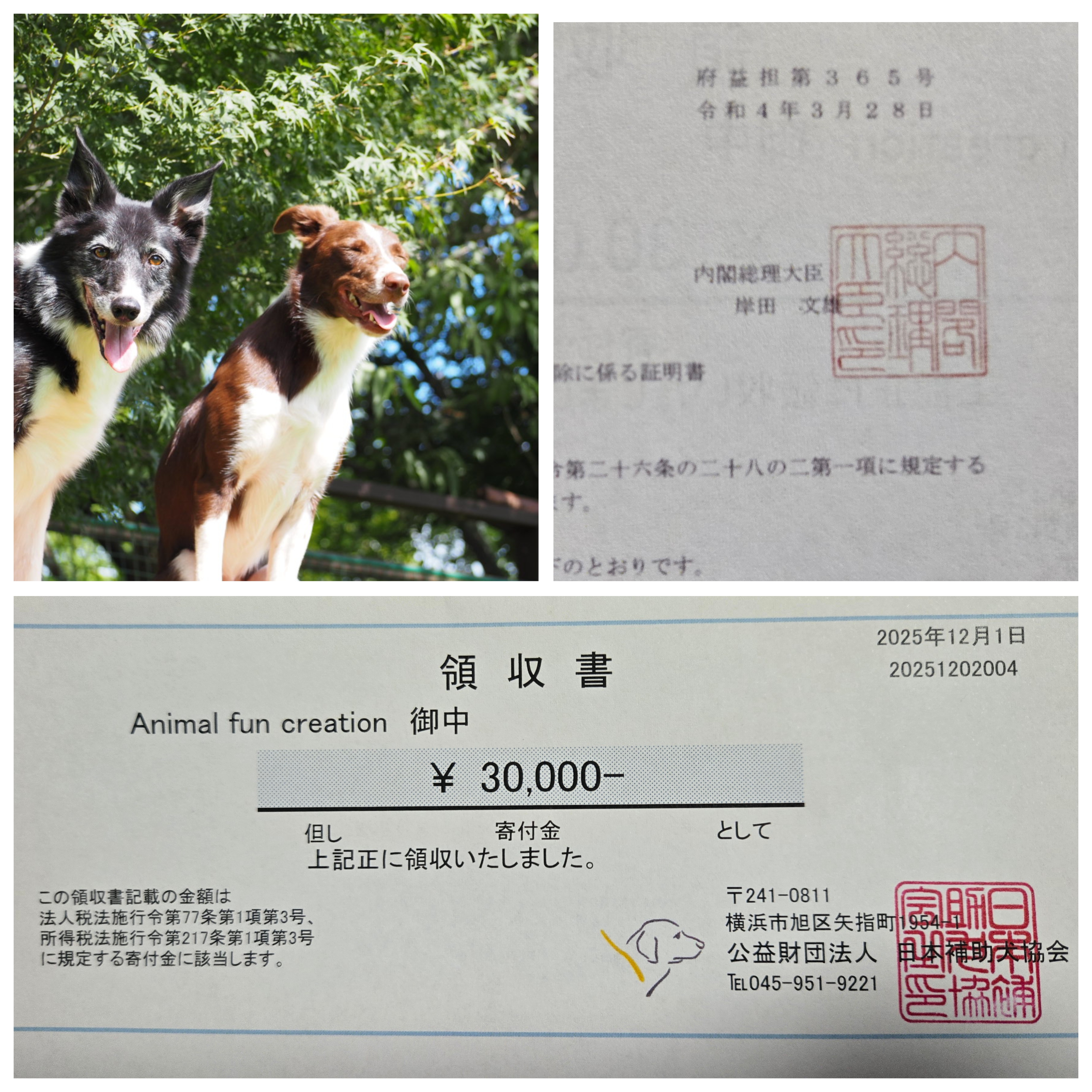 2025年度も日本補助犬協会に寄付させていただきました♪