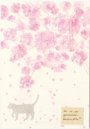 猫と桜20230312_14412409.jpg