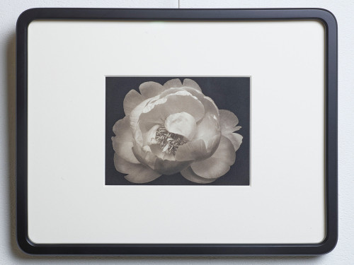 マーク・ヴァサーロ個展「WhiteBeachPhotography - MarkAnthonyVassallo」開催のお知らせ