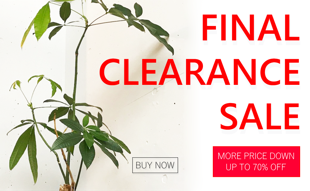 top_slide_Final_Clearance_Sale_002_20180801.png