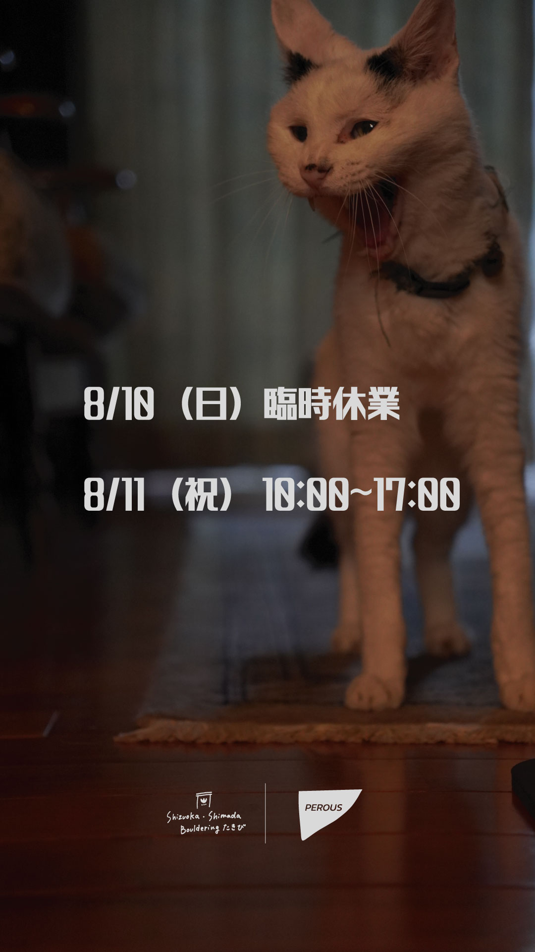 臨時休業02.jpg
