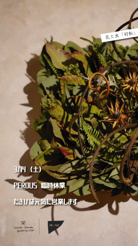PEROUS臨時休業