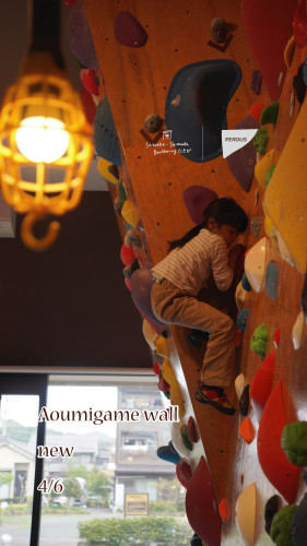 アオウミガメWall　NEW