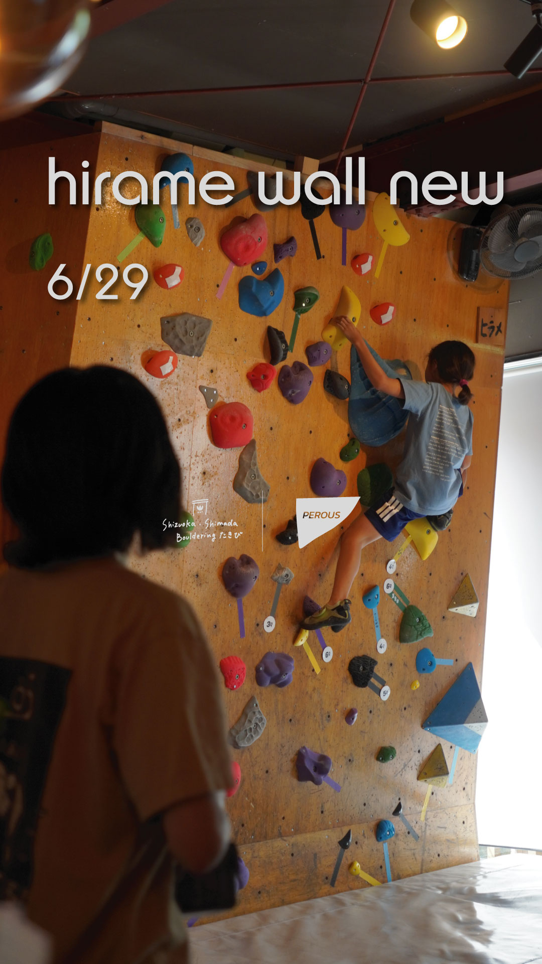 Hirame wall new