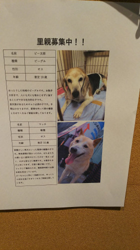 ピー太郎、マッチ.jpg