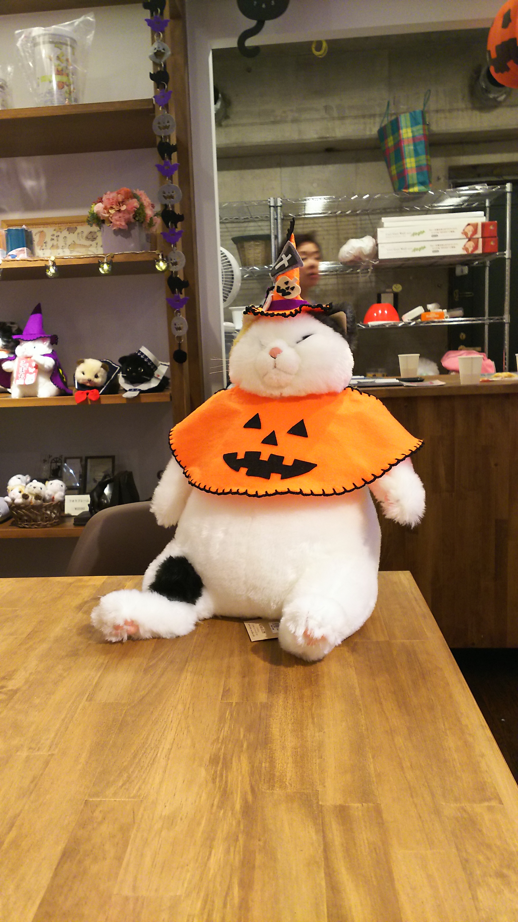 マリアハロウイーン.jpg