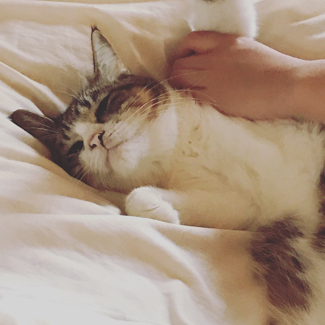 大前青ちゃん.jpg