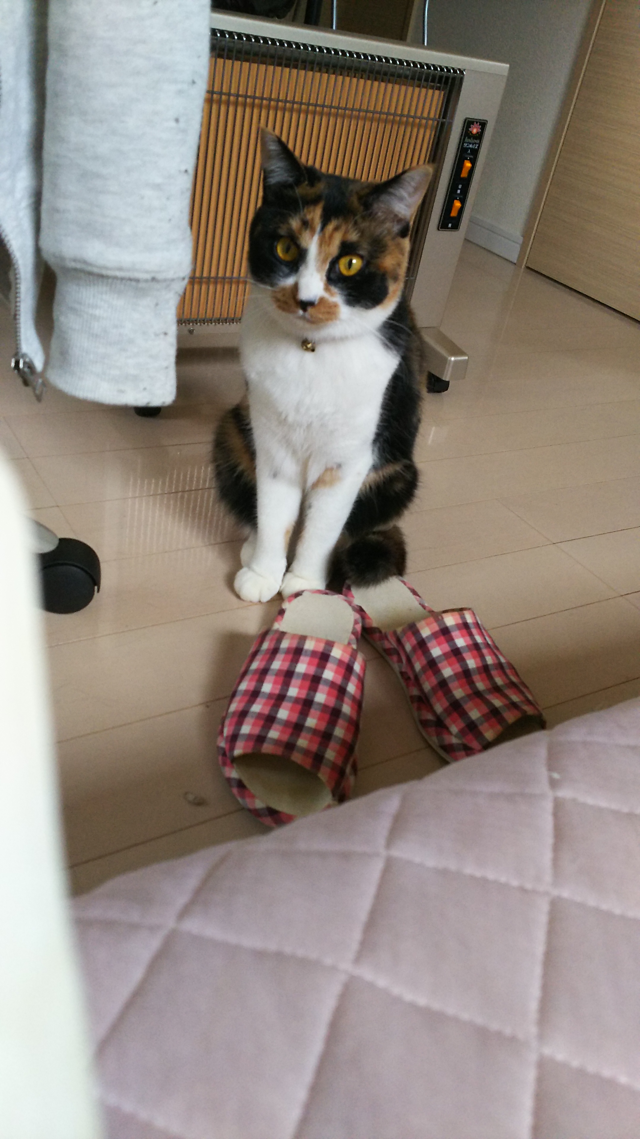 起きて.jpg