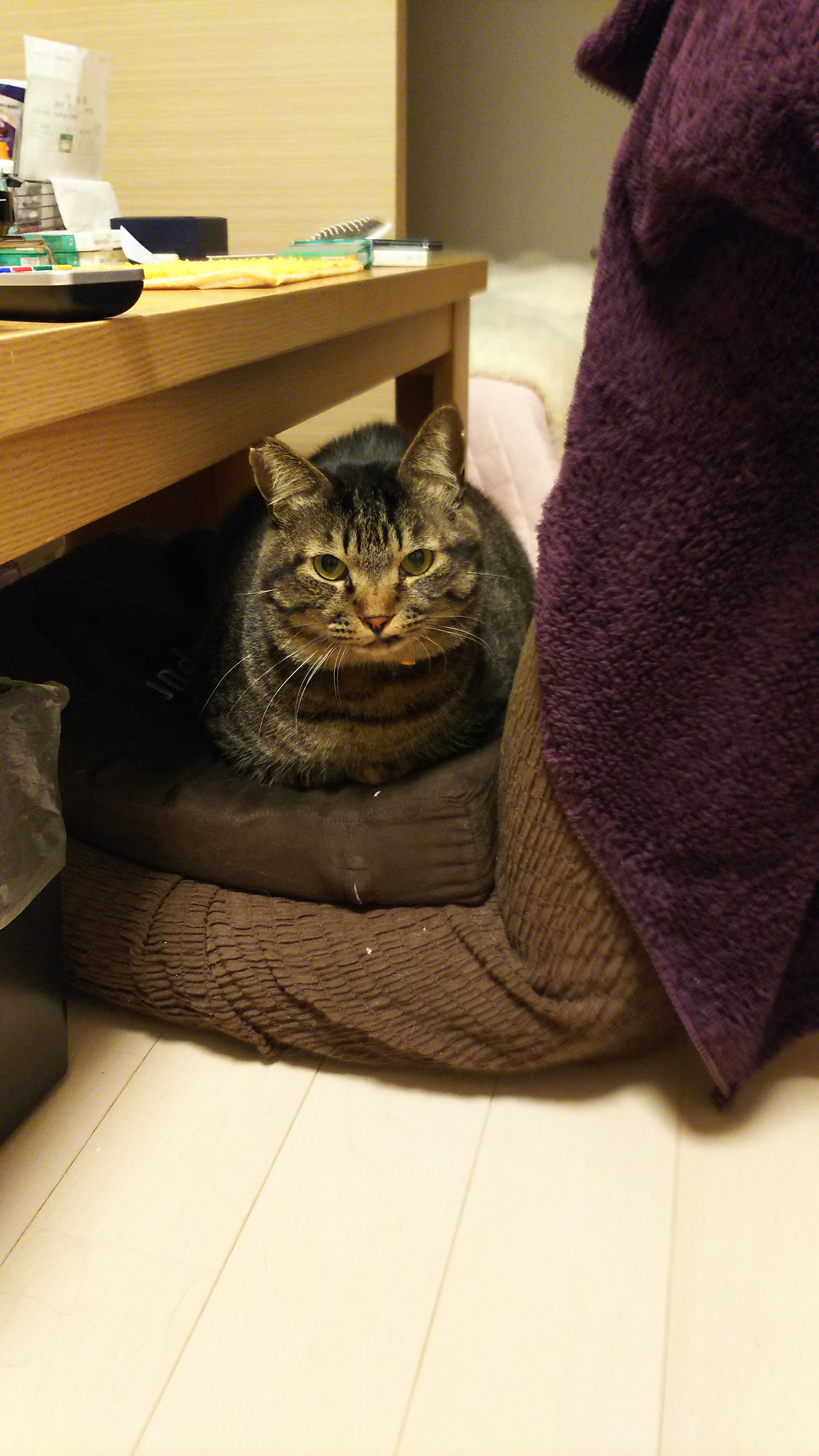 おかえりなさい.jpg