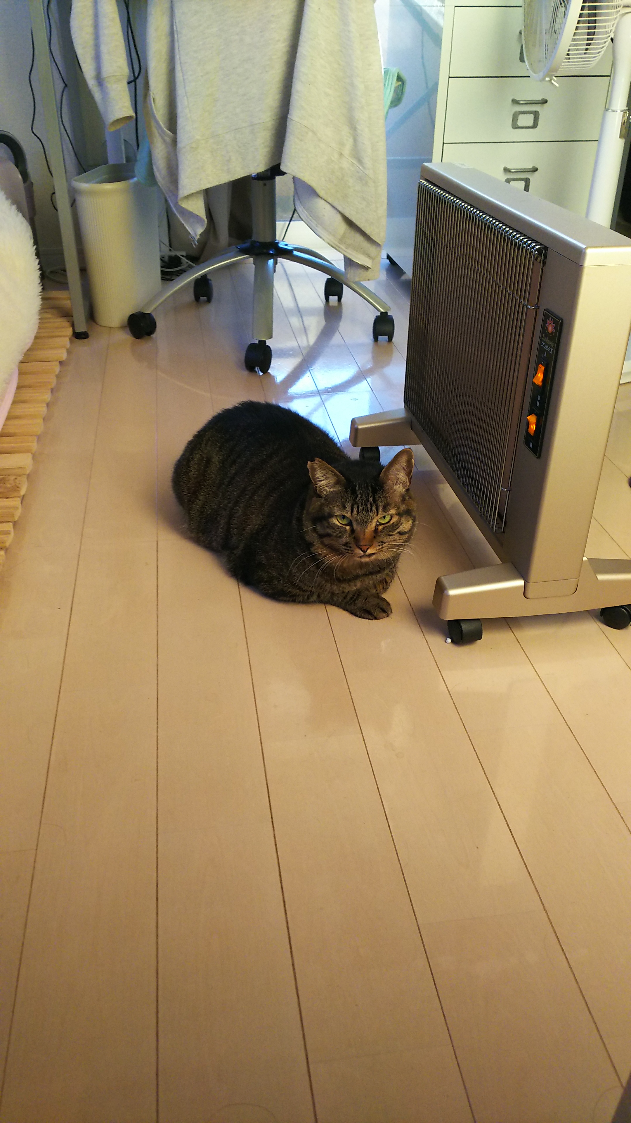 ぬくぬく.jpg