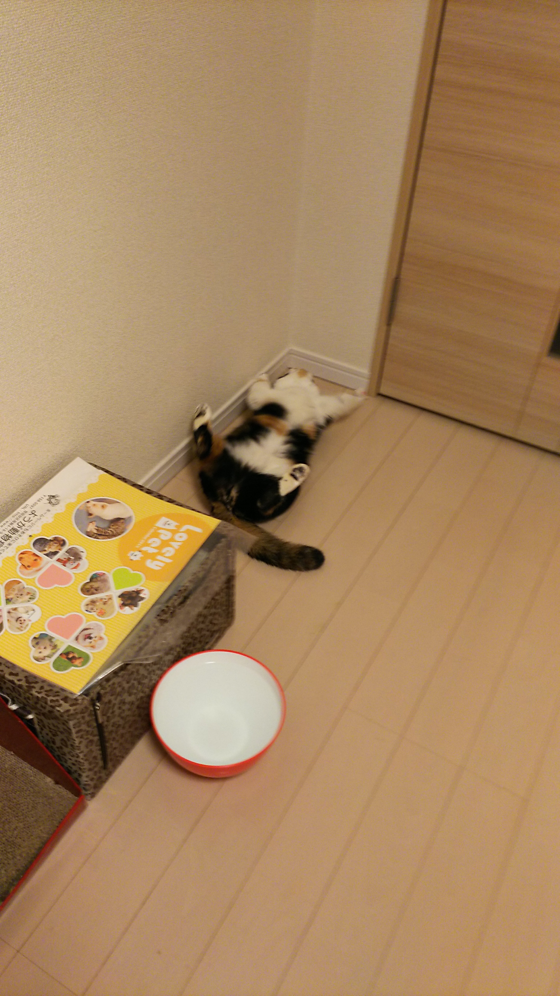 やった！.jpg