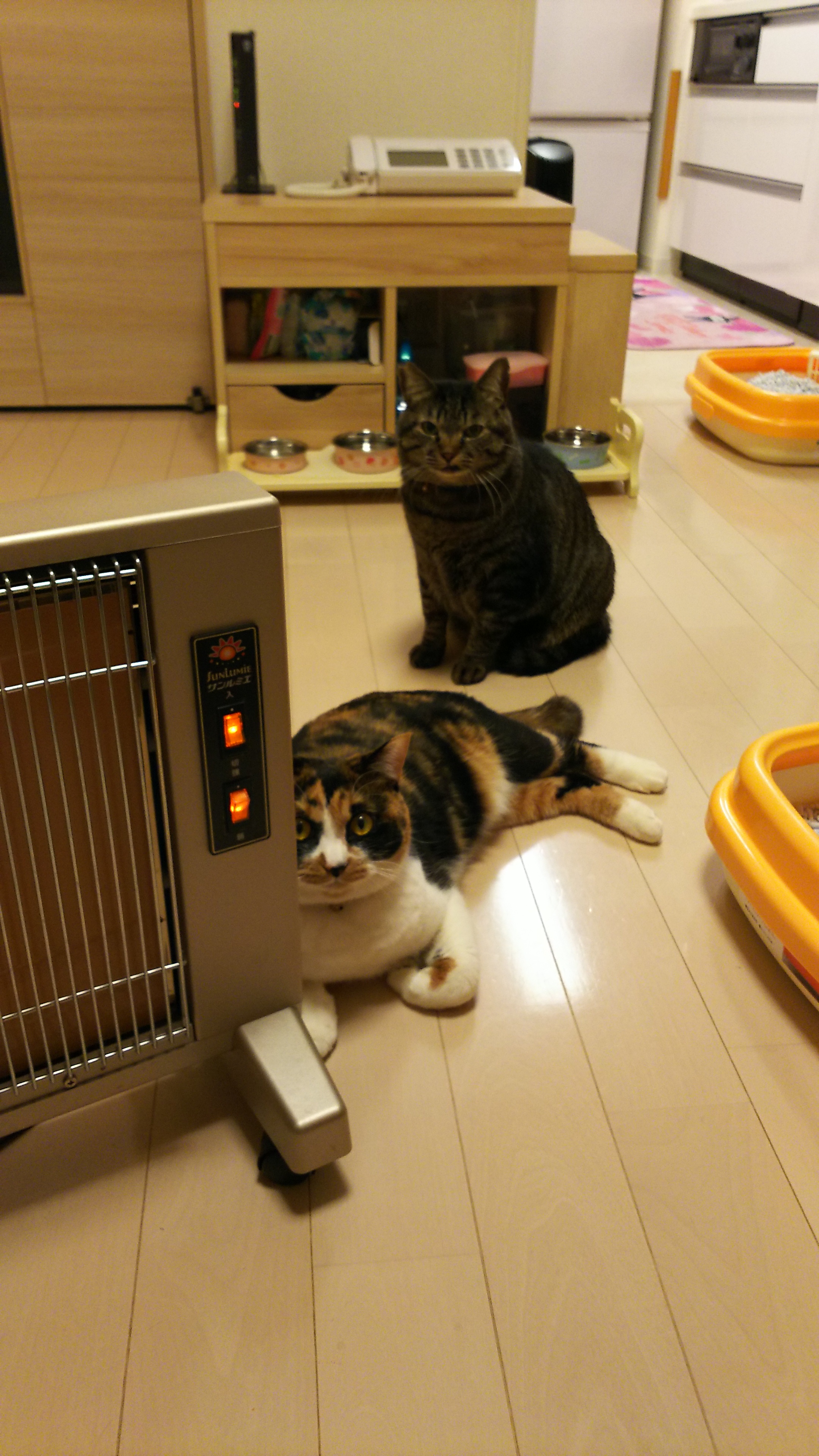 まだ足りない.jpg